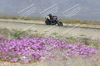 media/Feb-04-2023-SoCal Trackdays (Sat) [[8a776bf2c3]]/Turn 15 Inside Blooming (1050am)/